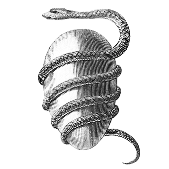 A black and white drawing of the Orphic Egg.